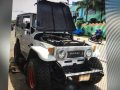 1982 Toyota Land Cruiser for sale in Ormoc-2