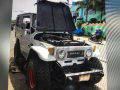 1982 Toyota Land Cruiser for sale in Ormoc-1