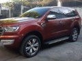 Ford Everest 2017 Automatic Diesel for sale in Quezon City-9