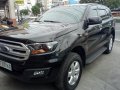 Ford Everest 2018 Manual Diesel for sale in Parañaque-0
