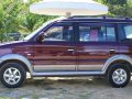 Sell 2nd Hand 2010 Mitsubishi Adventure at 110000 km in Mandaue-3