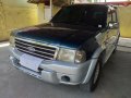 2nd Hand Ford Everest 2004 at 110000 km for sale in Mandaue-0
