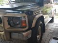 2nd Hand Nissan Patrol 1995 for sale in Dasmariñas-1