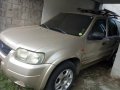 Selling 2nd Hand Ford Escape 2004 in Carmona-1
