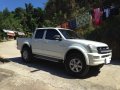 Selling 2nd Hand Isuzu D-Max 2005 at 130000 km in Consolacion-0