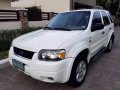 Sell 2nd Hand 2007 Ford Escape Automatic Gasoline at 100000 km in Parañaque-0