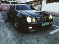 1999 Mercedes-Benz 320 for sale in Marikina-5