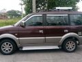 2nd Hand Mitsubishi Adventure 2008 for sale in Santa Rosa-5