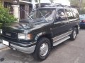 Selling 2nd Hand Isuzu Bighorn 1993 Automatic Diesel at 130000 km in Antipolo-1