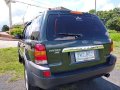 Ford Escape 2004 Automatic Gasoline for sale in Lipa-7