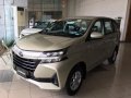 Brand New Toyota Avanza 2019 Manual Gasoline for sale in Meycauayan-4