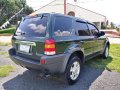 Ford Escape 2004 Automatic Gasoline for sale in Lipa-5