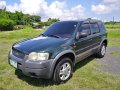 Ford Escape 2004 Automatic Gasoline for sale in Lipa-6
