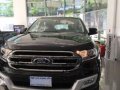 2018 Ford Everest for sale in Taguig-2