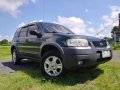 Ford Escape 2004 Automatic Gasoline for sale in Lipa-4