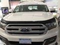 2018 Ford Everest for sale in Taguig-0