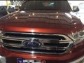 2nd Hand Ford Everest 2017 at 55000 km for sale in Concepcion-9
