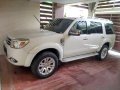 Used Ford Everest 2014 for sale in Taguig-11