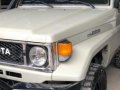 2nd Hand Toyota Land Cruiser for sale in Dinalupihan-4