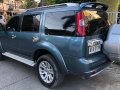 2015 Ford Everest for sale in Cebu City-3