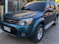 2015 Ford Everest for sale in Cebu City-5