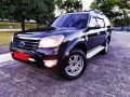 Sell 2nd Hand 2010 Ford Everest in Makati-10