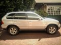 Bmw X5 2001 Automatic Gasoline for sale in Cainta-7