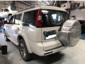 Ford Everest 2011 Automatic Diesel for sale in Mandaue-3