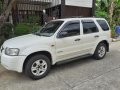 Sell 2nd Hand 2005 Ford Escape at 100000 km in Pasig-5