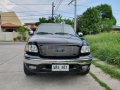 Selling Ford Expedition 2002 Automatic Gasoline in Parañaque-11