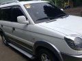 Mitsubishi Adventure 2013 Manual Diesel for sale in Liloan-8