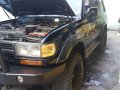 2nd Hand Toyota Land Cruiser 1993 for sale in Cainta-1