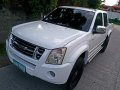 2nd Hand Isuzu D-Max 2009 Manual Diesel for sale in Davao City-3