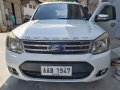 2nd Hand Ford Everest 2014 for sale in Tarlac City-8