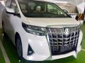 Selling Toyota Alphard 2019 in Muntinlupa-0