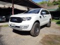 Sell 2nd Hand 2016 Ford Everest Automatic Diesel at 8000 km in Cebu City-0