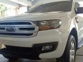 2nd Hand Ford Everest 2016 at 20000 km km for sale in San Pascual-2