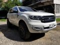 Sell 2nd Hand 2016 Ford Everest Automatic Diesel at 8000 km in Cebu City-2