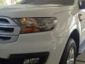 2nd Hand Ford Everest 2016 at 20000 km km for sale in San Pascual-11