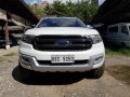 Sell 2nd Hand 2016 Ford Everest Automatic Diesel at 8000 km in Cebu City-1