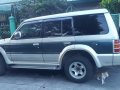 Sell 2nd Hand 1995 Mitsubishi Pajero at 130000 km in Dasmariñas-0