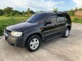 Ford Escape 2004 Automatic Gasoline for sale in Batangas City-10