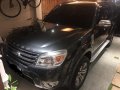 Selling 2nd Hand Ford Everest 2013 at 80000 km in Leyte -2