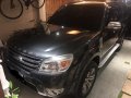 Selling 2nd Hand Ford Everest 2013 at 80000 km in Leyte -3