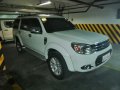 2014 Ford Everest for sale in Taytay-5