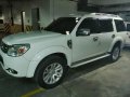 2014 Ford Everest for sale in Taytay-4