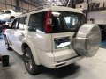 2011 Ford Everest for sale in Mandaue-3