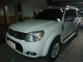 2014 Ford Everest for sale in Taytay-9