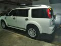 2014 Ford Everest for sale in Taytay-6