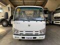 Brand New Isuzu Elf 2019 Truck for sale in Pasay -2